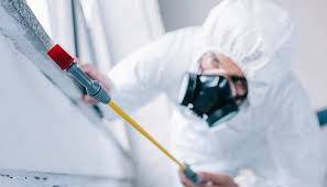 Best Residential Pest Control  in Clawson, MI